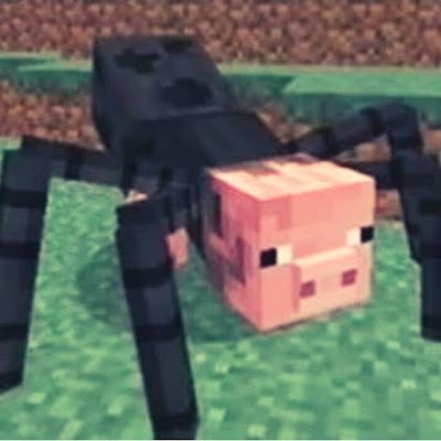 MoincraftB's profile image