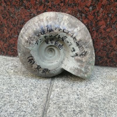 YwAK3lP7vxEo2SR's profile picture. 札幌の文楽スタッフです。代表の高橋の代わりにミネラルショーの情報を中心に少しずつ頑張っていきます。よろしくお願いします。