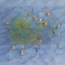 Paula Cartwright - @PaulaCa10069656 - Twitter