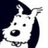 _struppi_'s profile image