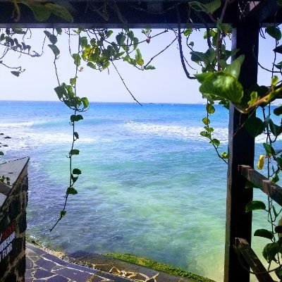 CV_Kitchen's profile picture. Health conscious Cape Verdean living in the states providing organic cuisine from my archipelago homeland and American favorites with a twist.