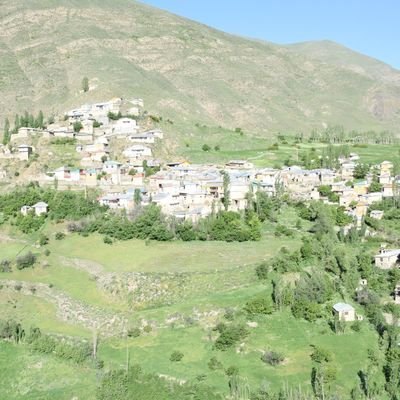 ile83606945's profile picture. 