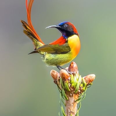 tludick's profile picture. We are products of our past, but we don't have to be prisoners of it.