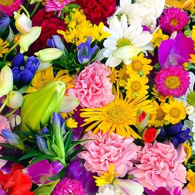 otBcyoPJ6PWbq1A's profile picture. всім хто спілкується не про події/гумор а переходить на особистості  - ідіть нахер