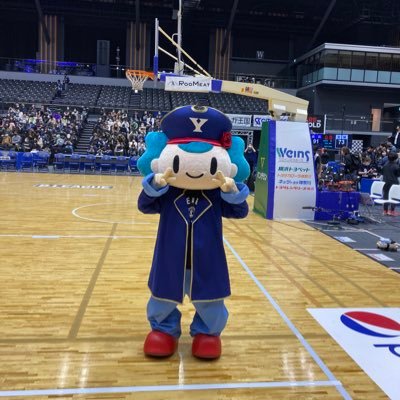 横浜ビーコルセアーズを一年目からブースターとして応援しています。沼から抜け出せないチームを応援中！