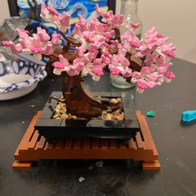 Shokie01111's profile picture. Uhh