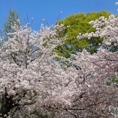 kky_777's profile picture. 