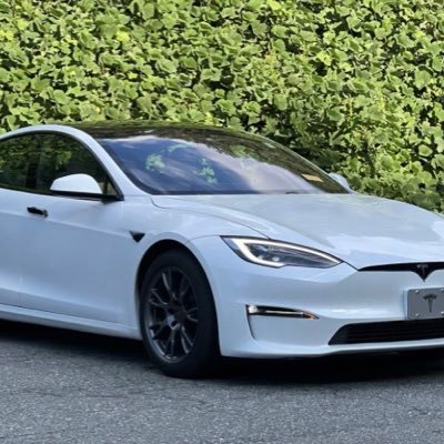 Tesla model s,  $TSLA, I like gas cars. EVs suck unless there made by tesla, twitter thinks im a bot