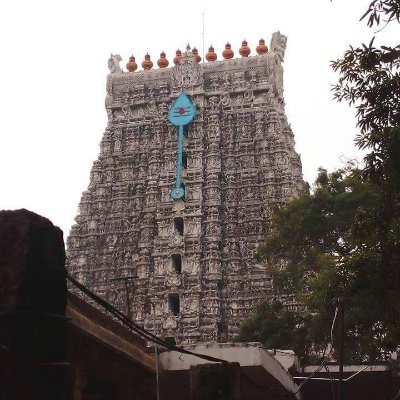 Municipalityti1's profile picture. 