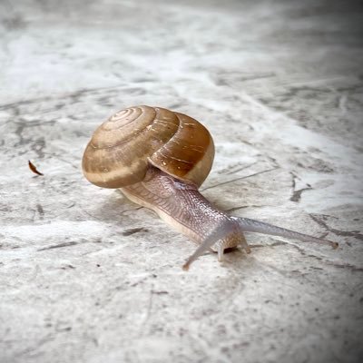 CTTAWS's profile picture. 