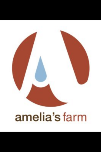 AmeliasFarm's profile picture. Husband/Wife entreprenuer #foodie team. Commercial #hydroponic #produce company for #DFW restaurants/markets. #PesticideFree. #NonGMO. Year round deliciousness.