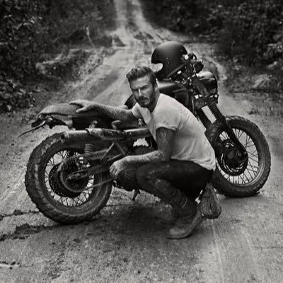 wcnPHOdNaXBMt6R's profile picture. 