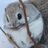 Noppi0302's profile image
