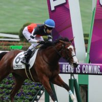 南ヴィグラス🍅 (@373vigorous) 's Twitter Profile