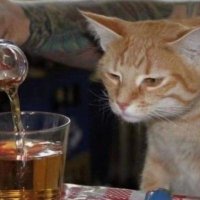 Dr.FM (@mgeziry32) 's Twitter Profile