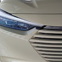 しょっぴー (@syoppyamerica) Twitter profile photo