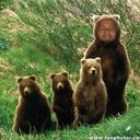 jose joaquim cardoso - @josejc08 - Twitter