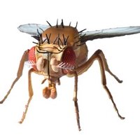 NeuroFly2024 (@neurofly2024) 's Twitter Profile Photo NeuroFly2024 (@neurofly2024) 's Twitter Profile Photo