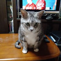 miicky510 (@5_rzso) 's Twitter Profile