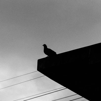 ofucolor's profile picture. 20 | student who loves to explore multiple subjects