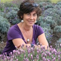 Joyce Barnathan (@jbarnathan) 's Twitter Profile
