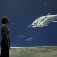 Frida Bengtsson (@frida_bengtsso) 's Twitter Profile