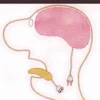 Mevlüt Severcan (@mevlutsevercan) Twitter profile photo