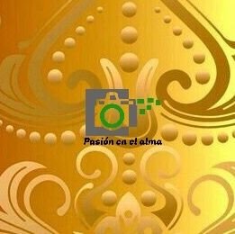 PasionenelAlma7's profile picture. Cuenta dedicada a las Cofradías de Málaga y resto de España