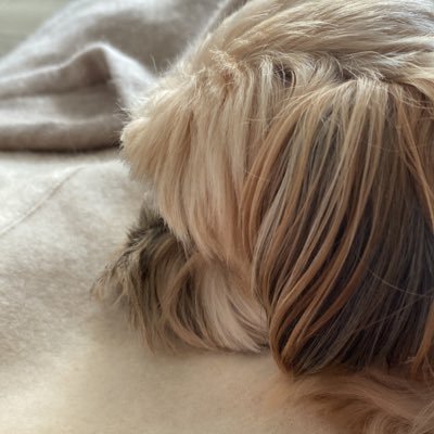 ChloeHateYou's profile picture. 