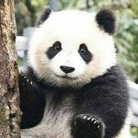 Jiggah - Buying CS Skins (@jiggahcs) 's Twitter Profile
