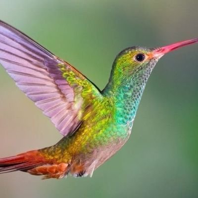 Amande_80's profile picture. #ecocitoyen #ecogeste #bio #nature #environnement #design #biofriendly #bienetre