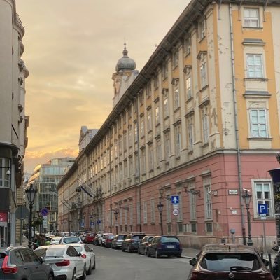 CavannaArthur's profile picture. 