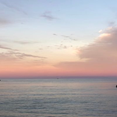 hollyhobblin's profile picture. 