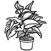 Plant Biology News (@plantbionews) 's Twitter Profile