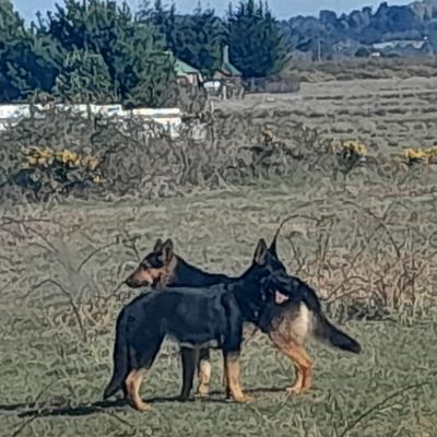 Sefirotman's profile picture. Acuario