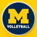 Michigan Volleyball (@umichvball) Twitter profile photo