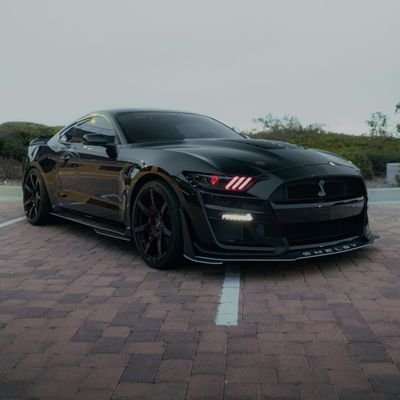 Roni_rosh's profile picture. 