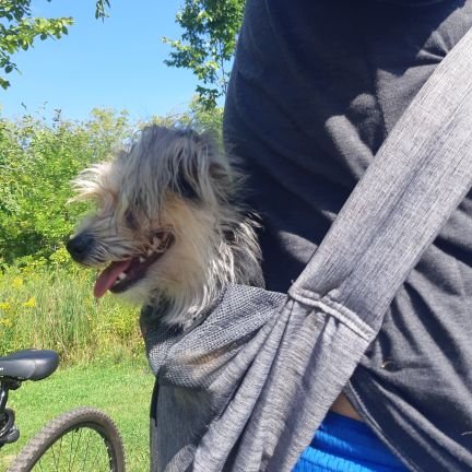 malakashyap's profile picture. Tweets are my own.
RTs are not endorsements