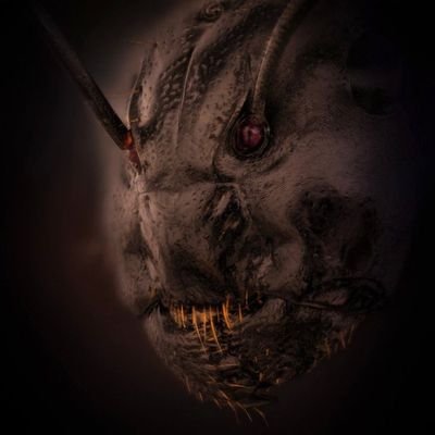 Deadking663's profile picture. 