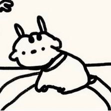 bllluebellly 🦭さんのプロフィール画像
