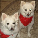 Terry McAdams - @tlmac210 - Twitter