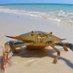 ImACrab (@callsapidus) Twitter profile photo ImACrab (@callsapidus) Twitter profile photo