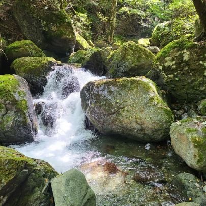 横浜在住、山岳渓流・源流釣り大好き人間。その釣りのサークルの管理者をしています！参加希望やご興味有る方は、お待ちしております。現在メンバーは、うん十数名！桂川漁協、都留漁協圏内、中津川漁協がホームで遠征可。人脈、情報を増やそうよ。興味有る方は、ジモティー画面下の問合せよりコンタクト下さい。スポーツやろうよも出てます✌️