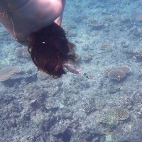 FunHel Lab (@funhellab) 's Twitter Profile