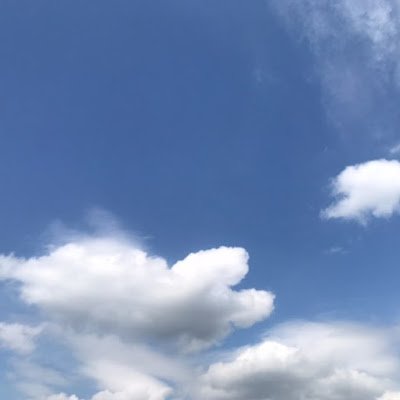 Eri96823534's profile picture. 