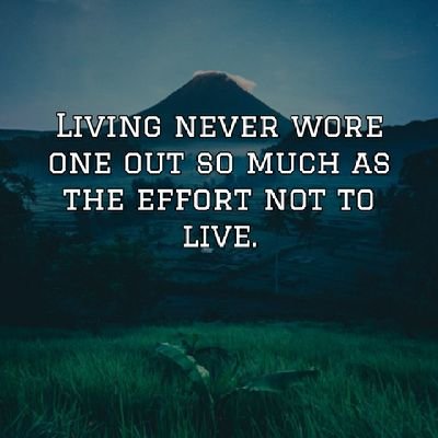 VictorSie4's profile picture. I'm looking for what is best for me...