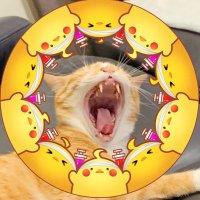 Milu米魯 (@milu199411) 's Twitter Profile