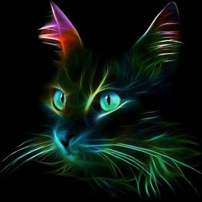 NV44422257's profile picture. Long game. 
Quiet mind. 
Simple life.