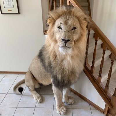 Drew_Dutton0's profile picture. 