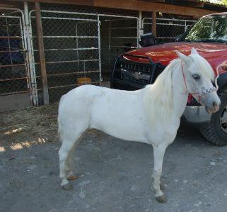 lagranjitamty's profile picture. 